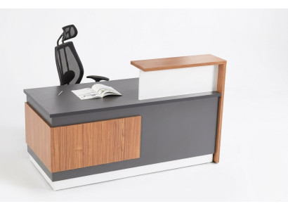 Comptoir Réception Table de réception Bureau Cabinet Disques Industrie Tables de bureau