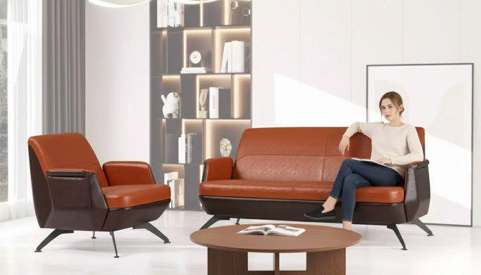 Ensemble de sièges de canapé, fauteuil deux places, fauteuil de bureau design de luxe pour salle d'étude.