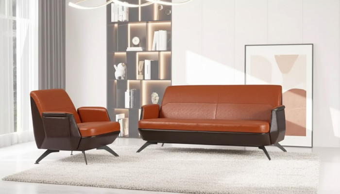 Ensemble de sièges de canapé, fauteuil deux places, fauteuil de bureau design de luxe pour salle d'étude.