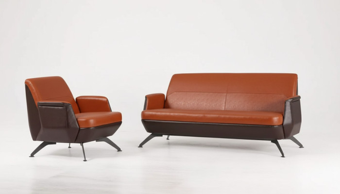 Ensemble de sièges de canapé, fauteuil deux places, fauteuil de bureau design de luxe pour salle d'étude.
