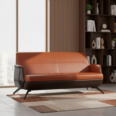Meubles en cuir design moderne pour deux personnes pour la salle d'étude - canapé - meubles de bureau