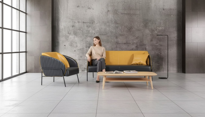 Ensemble de canapé de luxe moderne Fauteuil 2 places Mobilier de design de salle d'étude 2+1