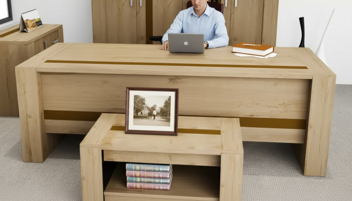 Conception Bureau Marron Mobilier de bureau de luxe Salle d'étude Moderne