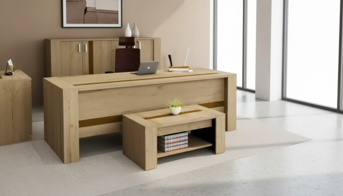 Conception Bureau Marron Mobilier de bureau de luxe Salle d'étude Moderne