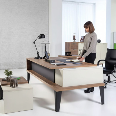 Desk Design exclusif Mobilier de bureau Table grand bureau exécutif