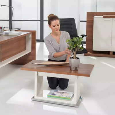 Table basse marron en bois avec étagère, mobilier de salon exclusif.