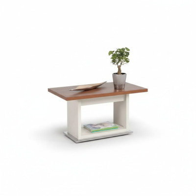 Table basse marron en bois avec étagère, mobilier de salon exclusif.