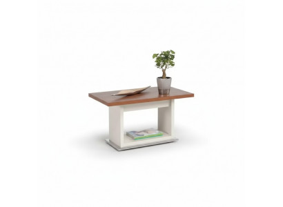 Table basse marron en bois avec étagère, mobilier de salon exclusif.
