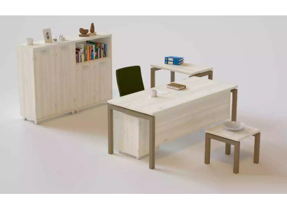 Mobilier de bureau Bureau Commode Table console Table basse 2x Armoire de classement