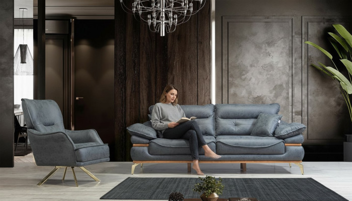 Salon moderne de designer gris avec canapé 3 places et nouveau fauteuil