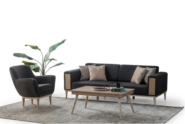 Ensemble de salon gris de luxe Trois places Fauteuil Rembourrage Style Textile Meubles