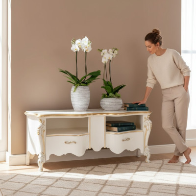 Étagère TV Commode Meuble TV Table en bois de l'étagère de bas design classique étagères