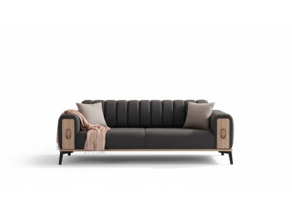 Élégant mobilier de salon moderne à trois places en bois gris avec canapés