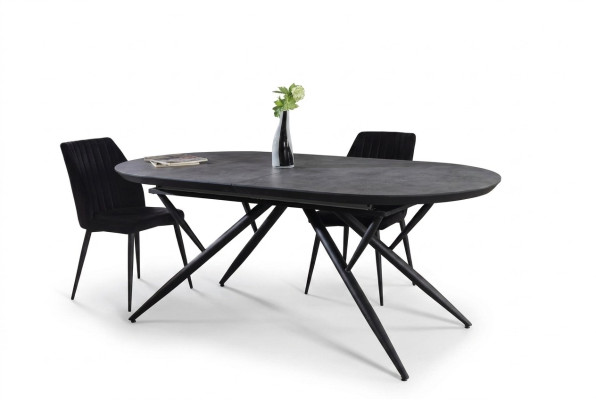 Table de salle à manger ovale Table à manger Table de cuisine extensible Bois Gris Grand