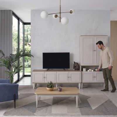Suite Stand TV Armoire TV Buffet Bas Table de Salon Etagères Gris Bois