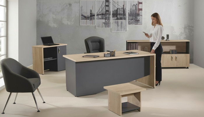 Mobilier de bureau Table Mobilier de bureau de salle d'étude Ensemble de bureau 4 pièces Bois Gris