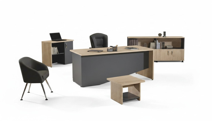 Mobilier de bureau Table Mobilier de bureau de salle d'étude Ensemble de bureau 4 pièces Bois Gris