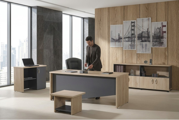 Bureau complet Mobilier de bureau Bureau de bureau Ensemble de bureau 4 pièces Bois Gris