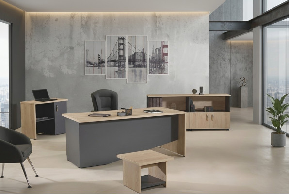 Bureau complet Mobilier de bureau Bureau de bureau Ensemble de bureau 4 pièces Bois Gris