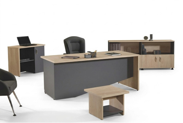 Bureau complet Mobilier de bureau Bureau de bureau Ensemble de bureau 4 pièces Bois Gris