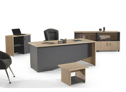 Bureau complet Mobilier de bureau Bureau de bureau Ensemble de bureau 4 pièces Bois Gris