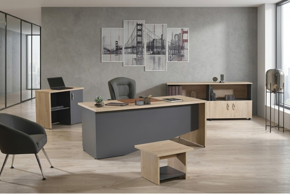 Suite de meubles de bureau Ensemble de bureau complet 4 pièces Bois gris Bureau