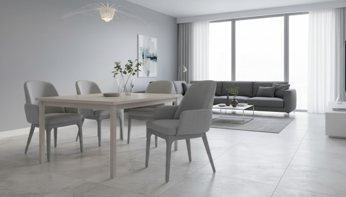 Chaise de cuisine Chaise de salle à manger Gris Bois Fauteuil Chaise en bois Moderne
