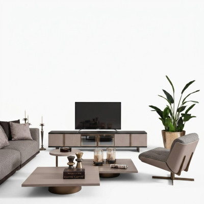Ensemble de salons Fauteuil Armoire TV Buffet Tables basses Bois Beige 6 pièces