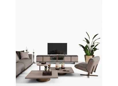 Ensemble de salons Fauteuil Armoire TV Buffet Tables basses Bois Beige 6 pièces