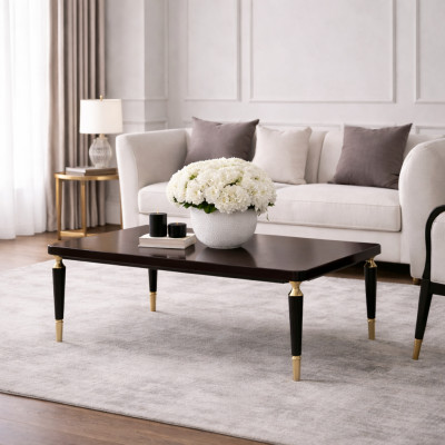 Table basse Table d'appoint Table basse Table de canapé Salon Bois Noir