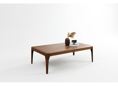 Table basse Table basse Table de canapé Salon Table d'appoint Bois Marron