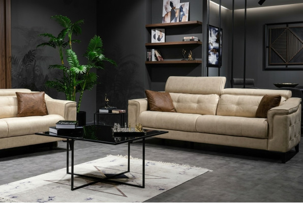 Salon beige Trois places en cuir Canapé 3 places Rembourrage Cadre en bois