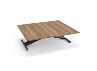Table à manger Table basse Table extensible Bois Marron Table basse 120 cm