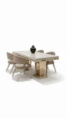 Luxueuses 6 chaises Les lignes claires et l'élégance complètent tout intérieur