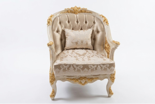 Fauteuil de salon élégant, fauteuil confortable, siège moderne, cadre neuf.