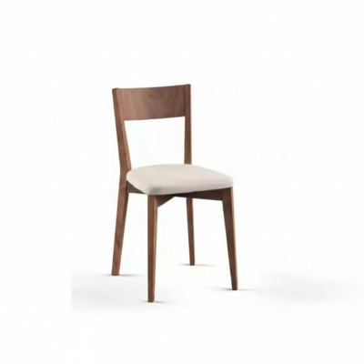 Chaise de salle à manger Chaise de cuisine Chaise de salon Chaise design