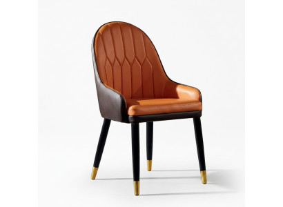 Chaises de salle à manger marron-orange Chaises design en bois Fauteuil moderne