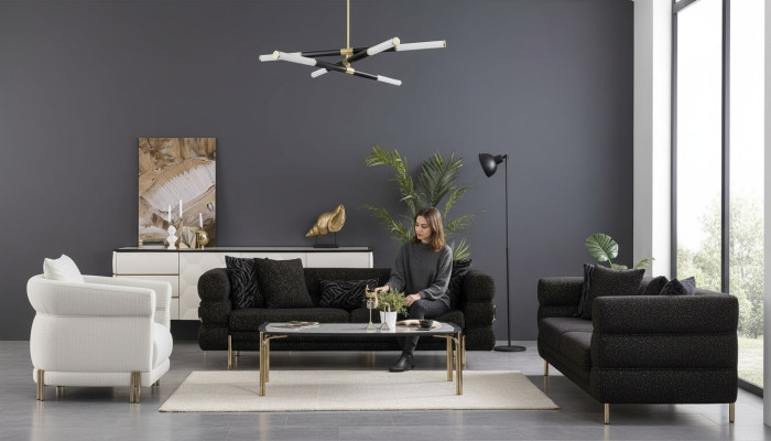 Ensemble de canapé de salon, moderne et luxueux, de designer, composé d'un canapé noir à trois places et d'un fauteuil blanc.