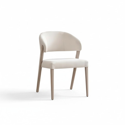 Salle à manger Chaise Blanche Chaise à Dossier Designer Salle à manger Chaises en bois neuves