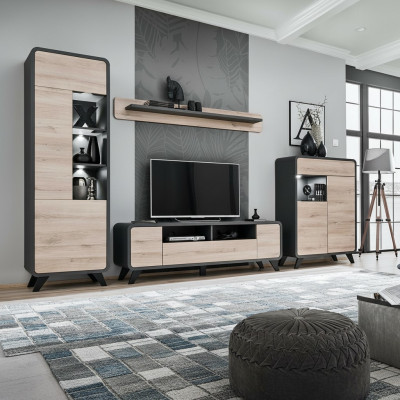 Set de salon Étagère murale Meuble TV bas Meubles en bois 2x Vitrine Unité murale nouveau