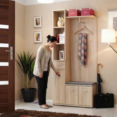 Vestiaire d'entrée Armoire Porte-manteau Bois Moderne Meuble Portemanteau Entrée