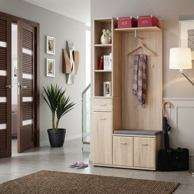 Vestiaire d'entrée Armoire Porte-manteau Bois Moderne Meuble Portemanteau Entrée