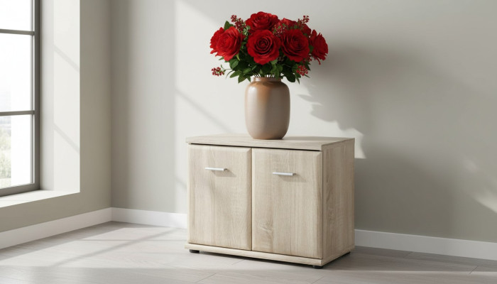 Armoire à chaussures de luxe Portemanteau Commode Bois Meubles design Moderne
