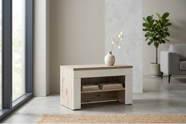 Meuble à chaussures en bois design moderne pour couloir