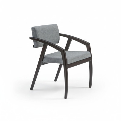 Chaise avec accoudoirs Siège Rembourrage Salle à manger Bois Design Style Luxe neuf