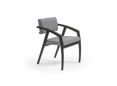 Chaise avec accoudoirs Siège Rembourrage Salle à manger Bois Design Style Luxe neuf