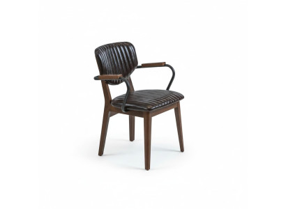 Chaise de luxe avec accoudoirs Chaise de salle à manger Mobilier Siège rembourré Moderne Ameublement
