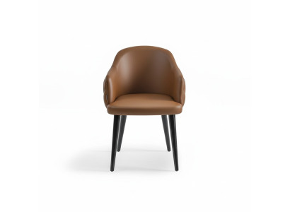 Chaise de salle à manger design avec accoudoirs, moderne et stylée.