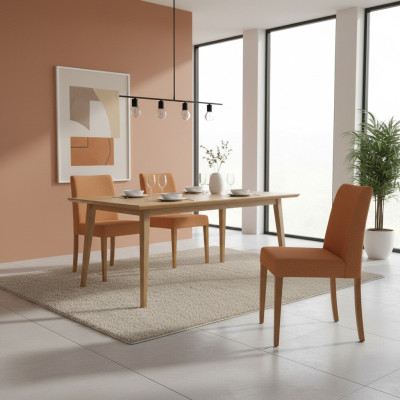 Aménagement de luxe Chaise moderne Marron nouvelle conception de chaise en bois salle à manger
