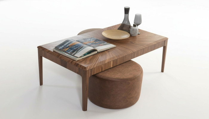 Table basse élégante Marron Rectangulaire Salon Table Basse en Bois